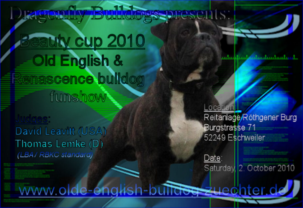2bbc2010.bmp