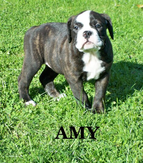 amy48.jpg