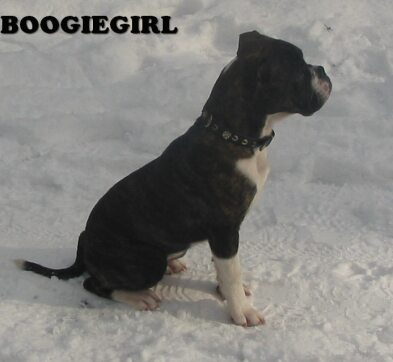 boogiegirlsnow.jpg