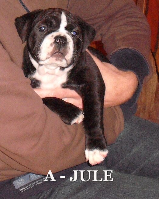 juleekc.jpg